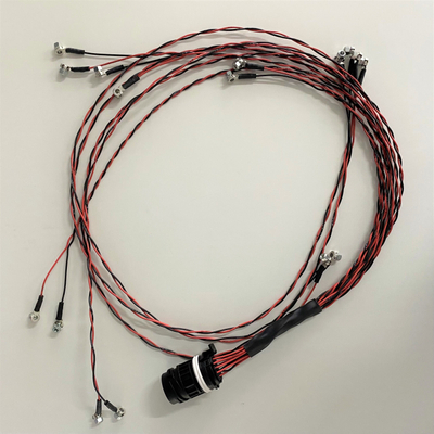 Wire Harness for Antomobile Engine